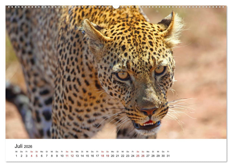 Blickpunkte Tansanias (CALVENDO Premium Wandkalender 2026)