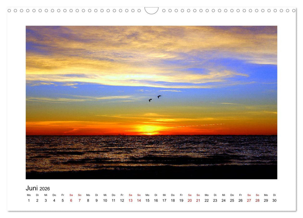 Florida 2026 abwechslungsreich und von der Sonne verwöhnt (CALVENDO Wandkalender 2026)