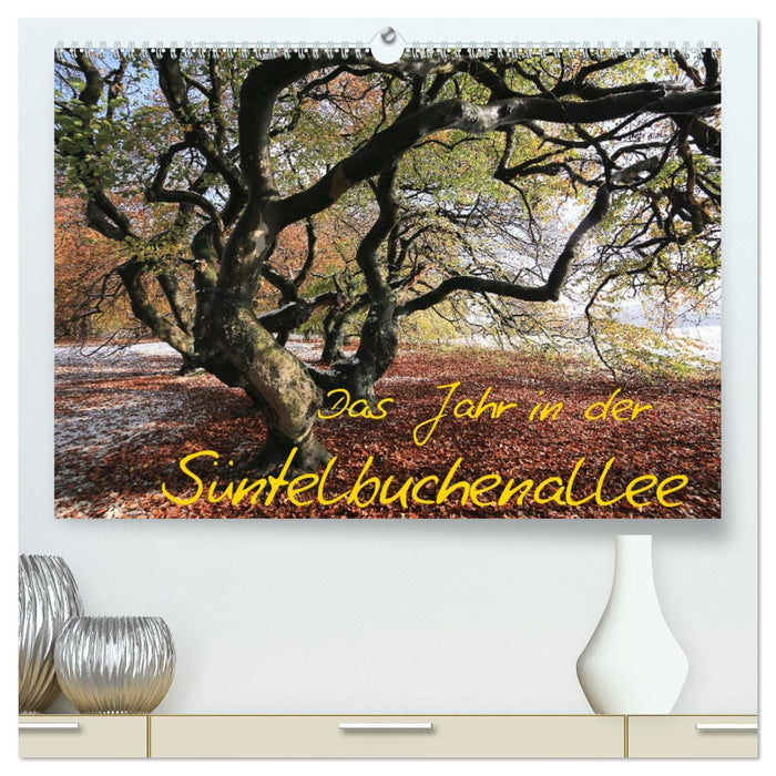 Das Jahr in der Süntelbuchenallee (CALVENDO Premium Wandkalender 2026)