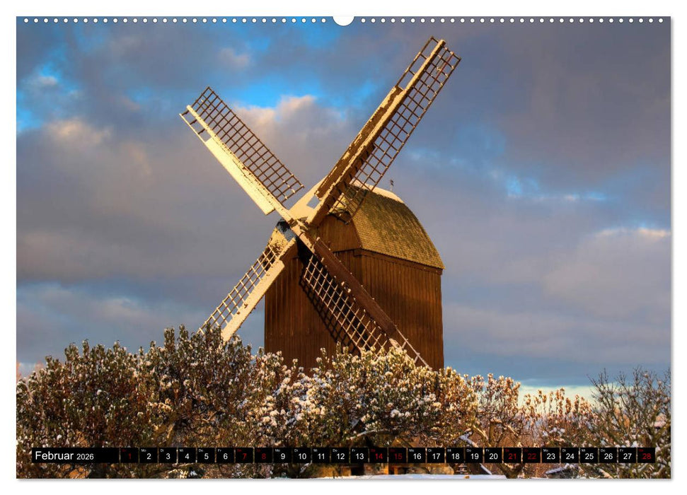 Hansestadt Greifswald (CALVENDO Premium Wandkalender 2026)