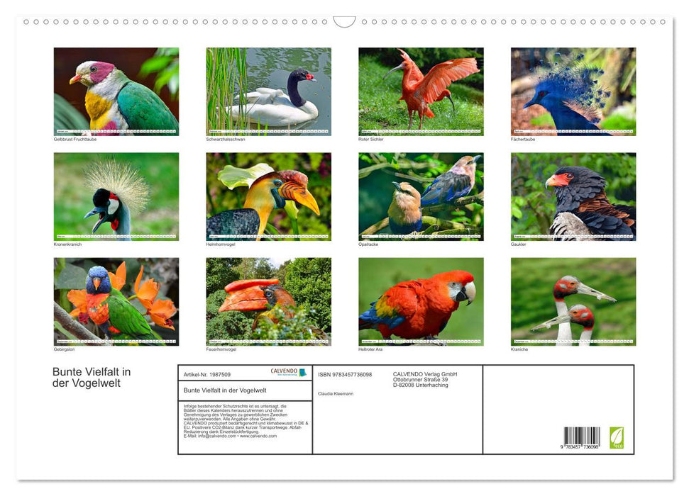 Bunte Vielfalt in der Vogelwelt (CALVENDO Wandkalender 2026)