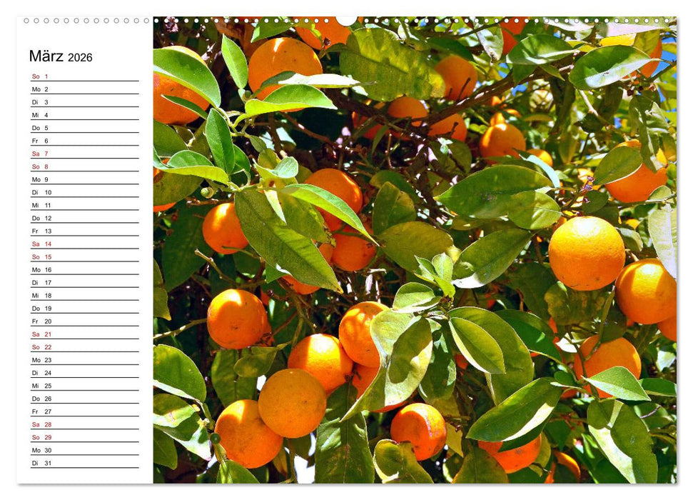 Griechische Insel Kos (CALVENDO Premium Wandkalender 2026)