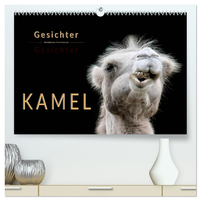 Kamel Gesichter (CALVENDO Premium Wandkalender 2026)