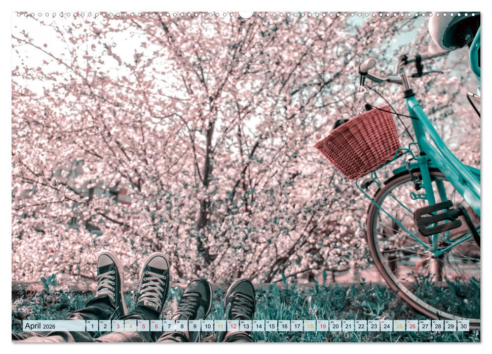 Mein Fahrrad (CALVENDO Premium Wandkalender 2026)