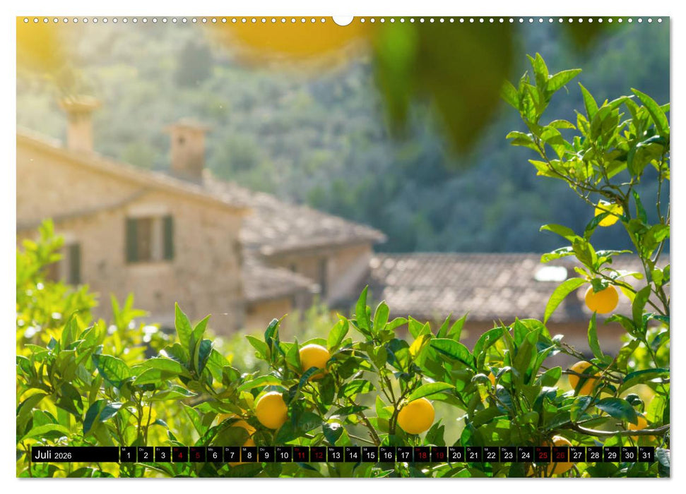 Mallorca - Trauminsel im Mittelmeer (CALVENDO Premium Wandkalender 2026)
