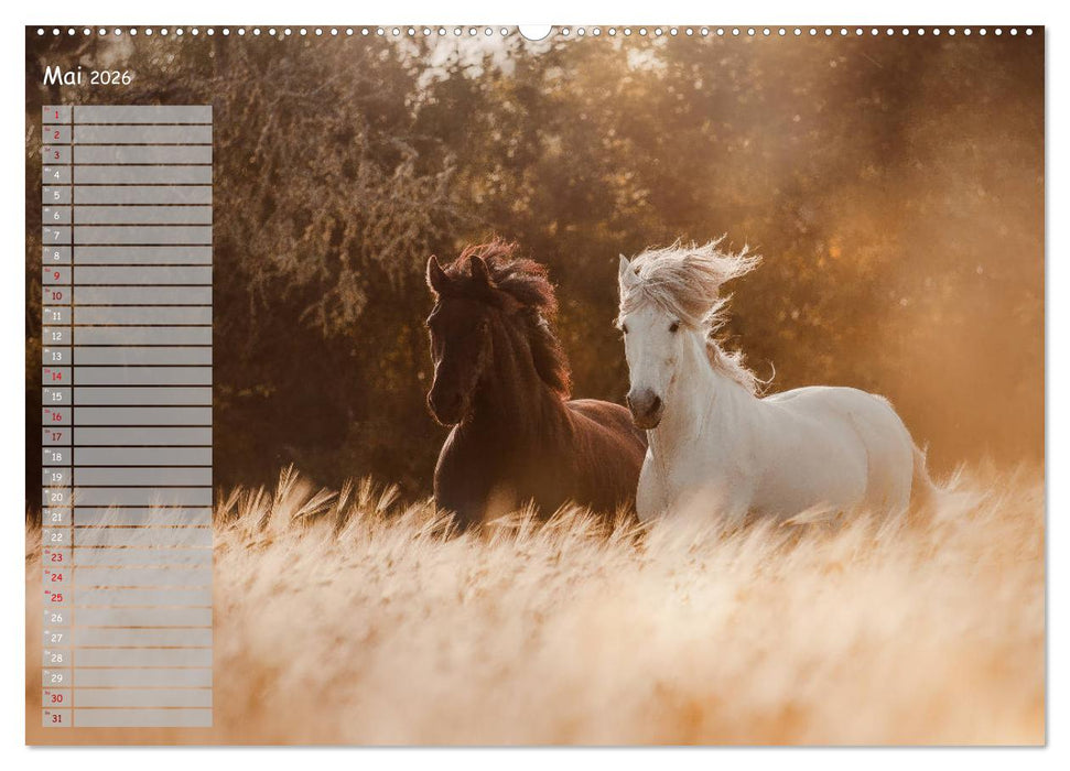 Pferde - Spiegel deiner Seele (CALVENDO Premium Wandkalender 2026)