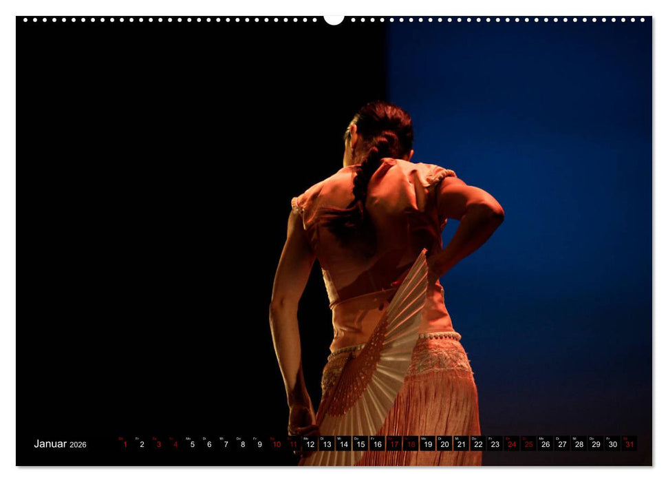 Flamenco. Spanischer Tanz (CALVENDO Premium Wandkalender 2026)