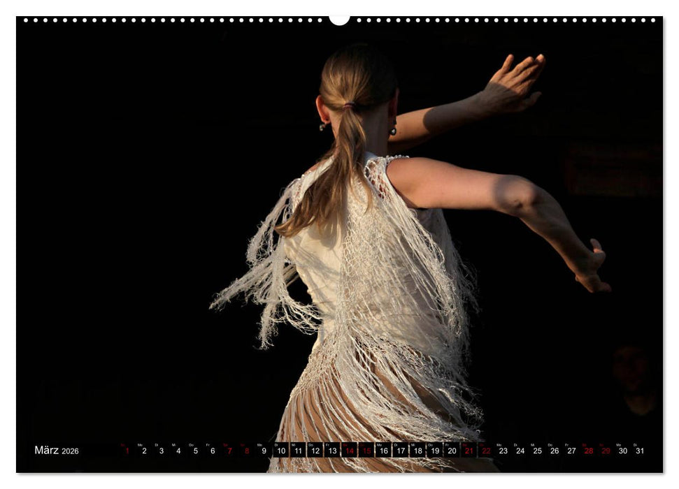 Flamenco. Spanischer Tanz (CALVENDO Premium Wandkalender 2026)