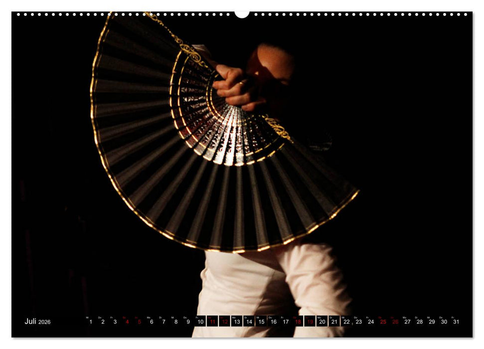 Flamenco. Spanischer Tanz (CALVENDO Premium Wandkalender 2026)