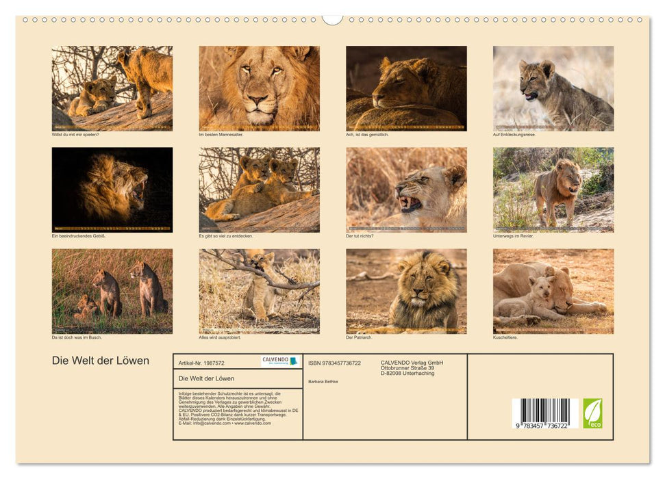 Die Welt der Löwen (CALVENDO Premium Wandkalender 2026)