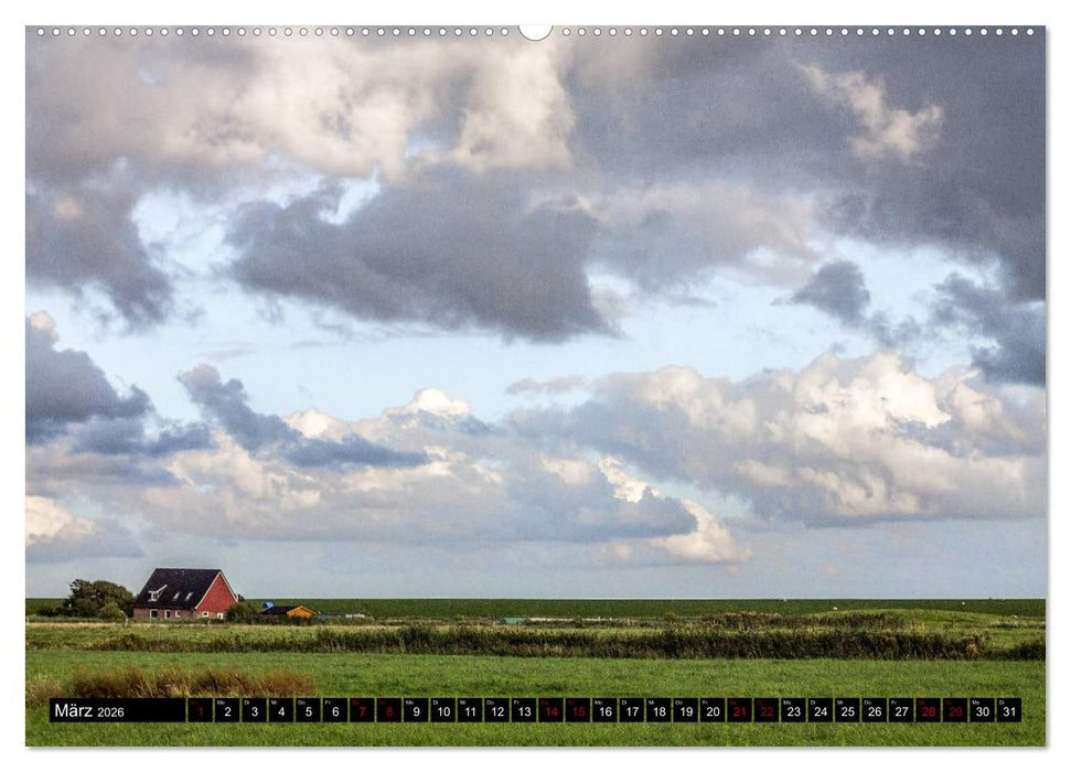 Nordseeinsel Pellworm 2026 (CALVENDO Premium Wandkalender 2026)