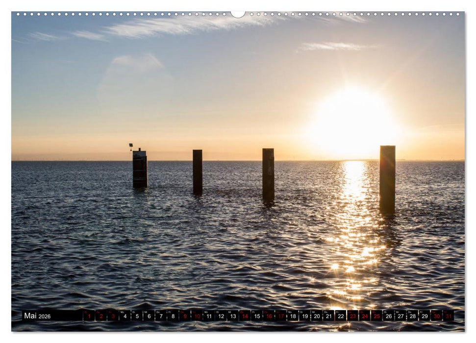 Nordseeinsel Pellworm 2026 (CALVENDO Premium Wandkalender 2026)