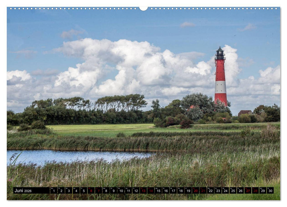 Nordseeinsel Pellworm 2026 (CALVENDO Premium Wandkalender 2026)