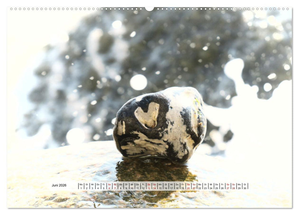 organische Strukturen Abstrakte Formen der Natur (CALVENDO Premium Wandkalender 2026)