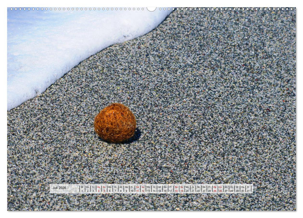 organische Strukturen Abstrakte Formen der Natur (CALVENDO Premium Wandkalender 2026)