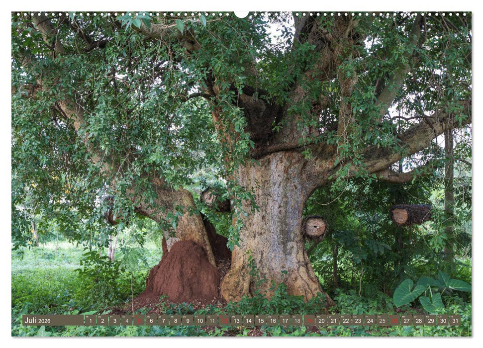Geheimtipp Uganda (CALVENDO Premium Wandkalender 2026)