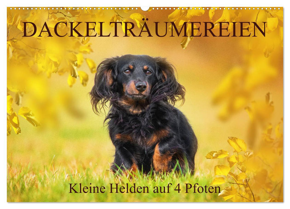 Dackelträumereien - Kleine Helden auf 4 Pfoten (CALVENDO Wandkalender 2026)