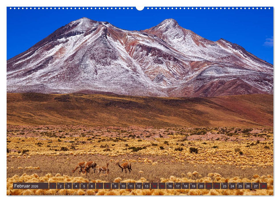 Atacama: Karge Wüste, mächtige Vulkane und farbenprächtige Lagunen (CALVENDO Premium Wandkalender 2026)
