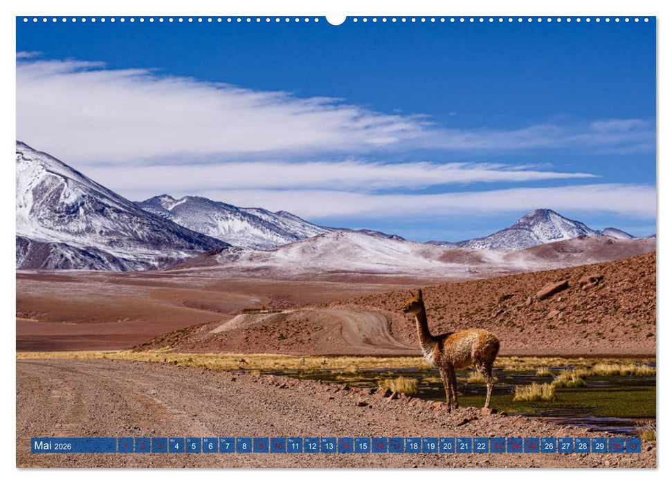 Atacama: Karge Wüste, mächtige Vulkane und farbenprächtige Lagunen (CALVENDO Premium Wandkalender 2026)