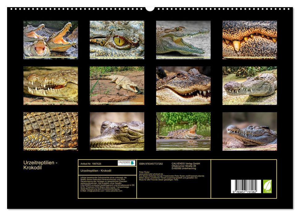 Urzeitreptilien - Krokodil (CALVENDO Premium Wandkalender 2026)