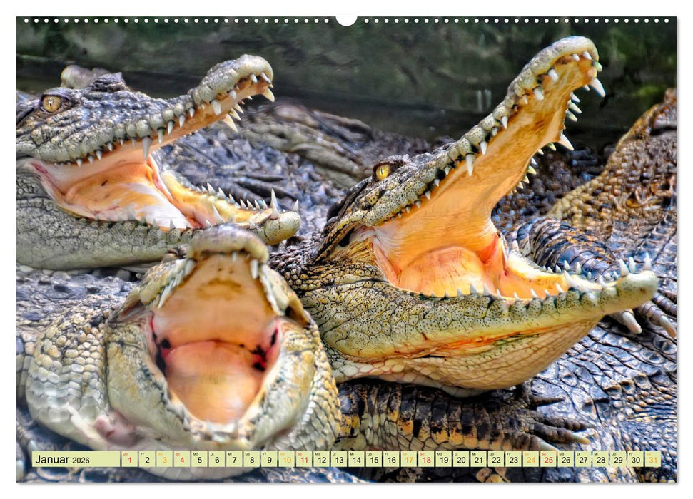 Urzeitreptilien - Krokodil (CALVENDO Premium Wandkalender 2026)