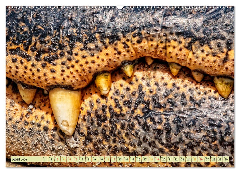 Urzeitreptilien - Krokodil (CALVENDO Premium Wandkalender 2026)