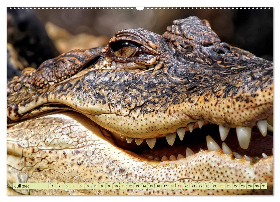 Urzeitreptilien - Krokodil (CALVENDO Premium Wandkalender 2026)