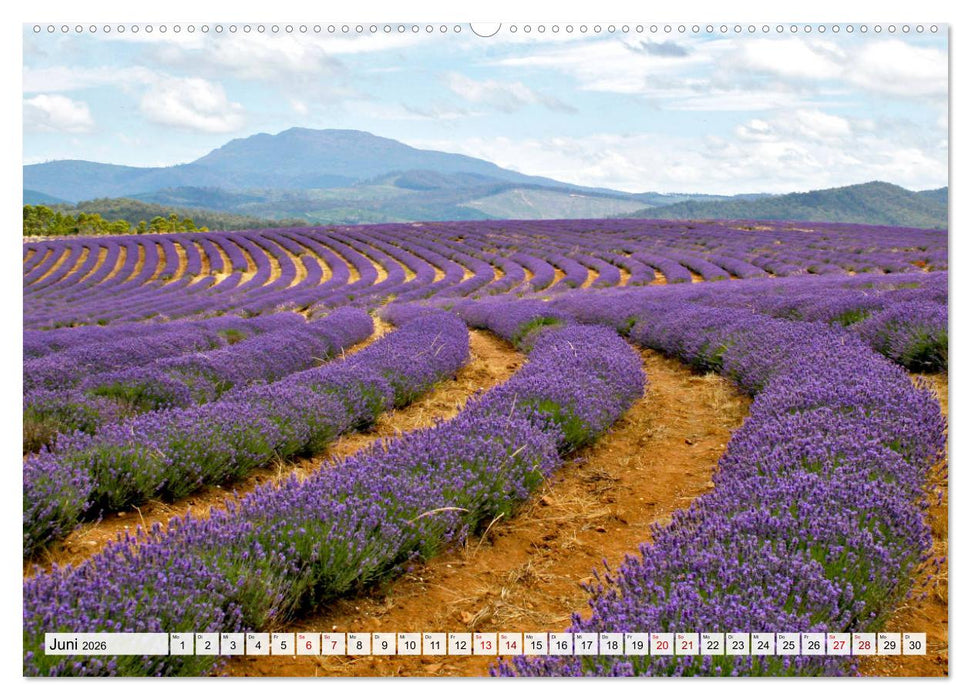 Inselschönheit Tasmanien (CALVENDO Premium Wandkalender 2026)