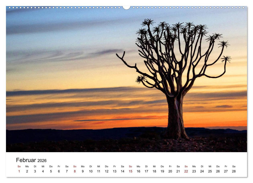 Bäume in Namibias Landschaften (CALVENDO Premium Wandkalender 2026)