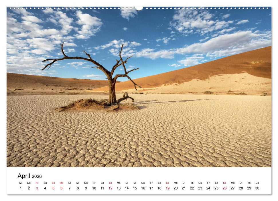 Bäume in Namibias Landschaften (CALVENDO Premium Wandkalender 2026)