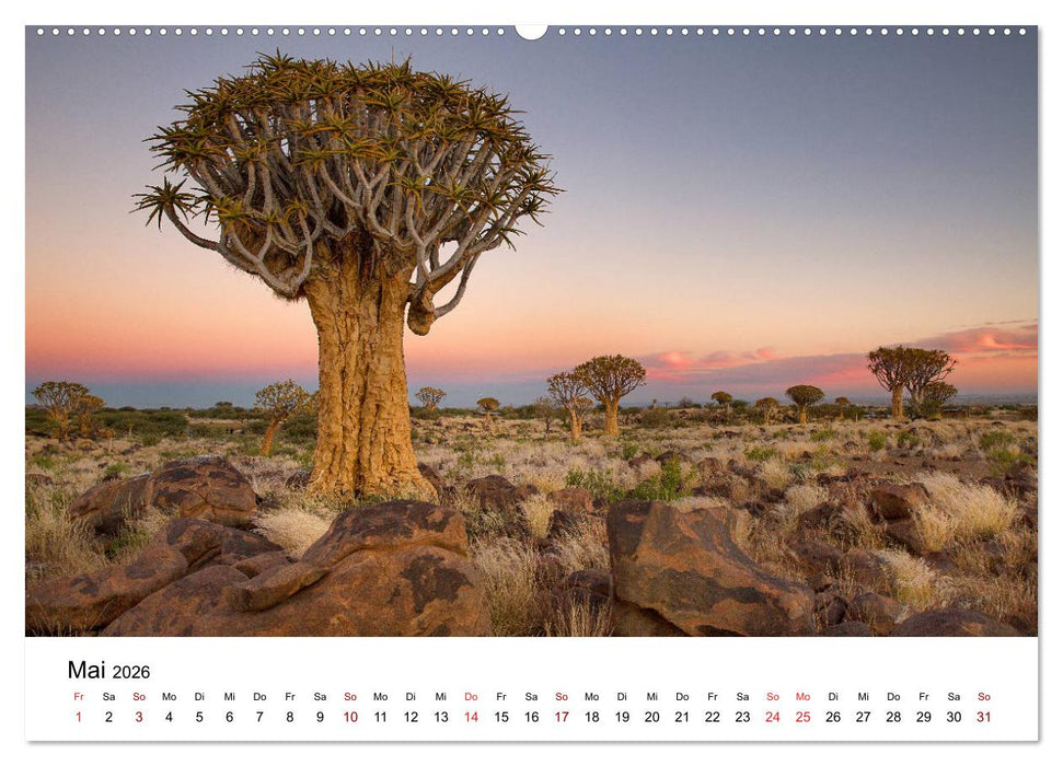 Bäume in Namibias Landschaften (CALVENDO Premium Wandkalender 2026)