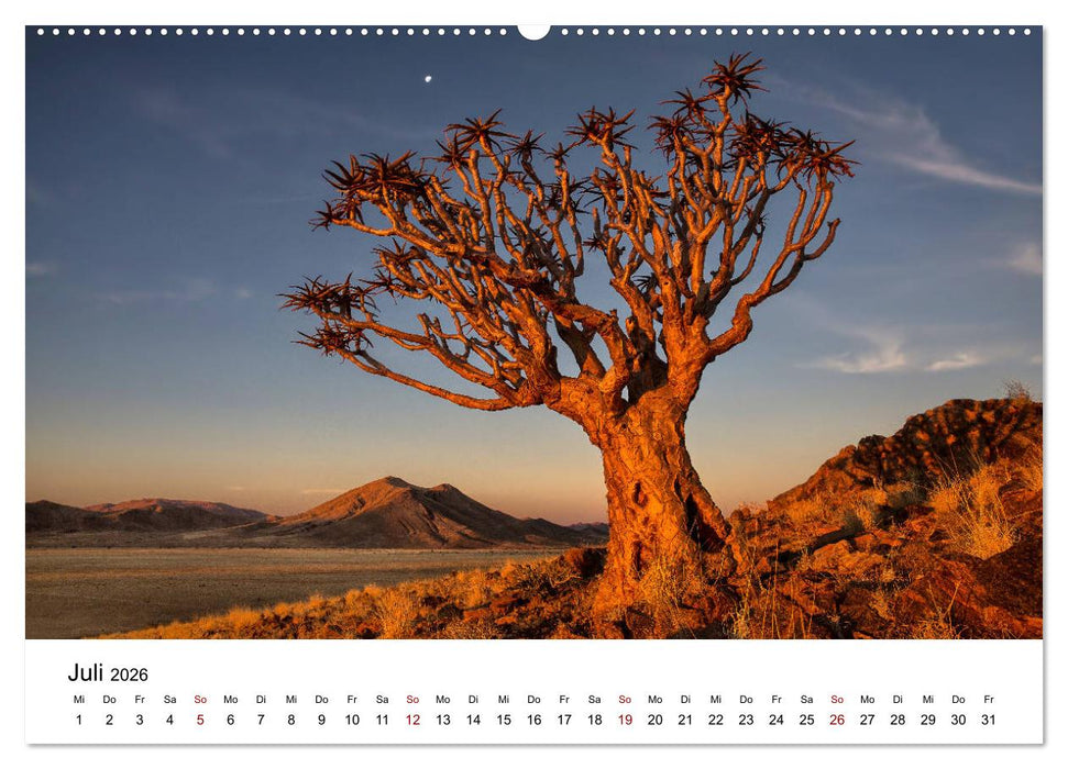 Bäume in Namibias Landschaften (CALVENDO Premium Wandkalender 2026)