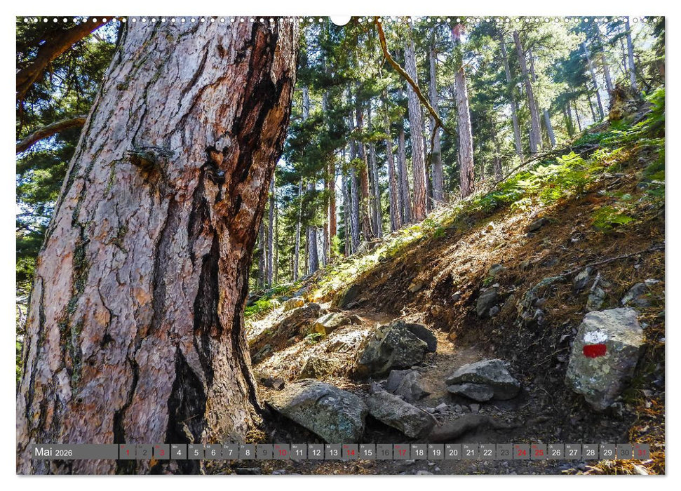 Weitwandern auf Korsika GR 20 (CALVENDO Premium Wandkalender 2026)