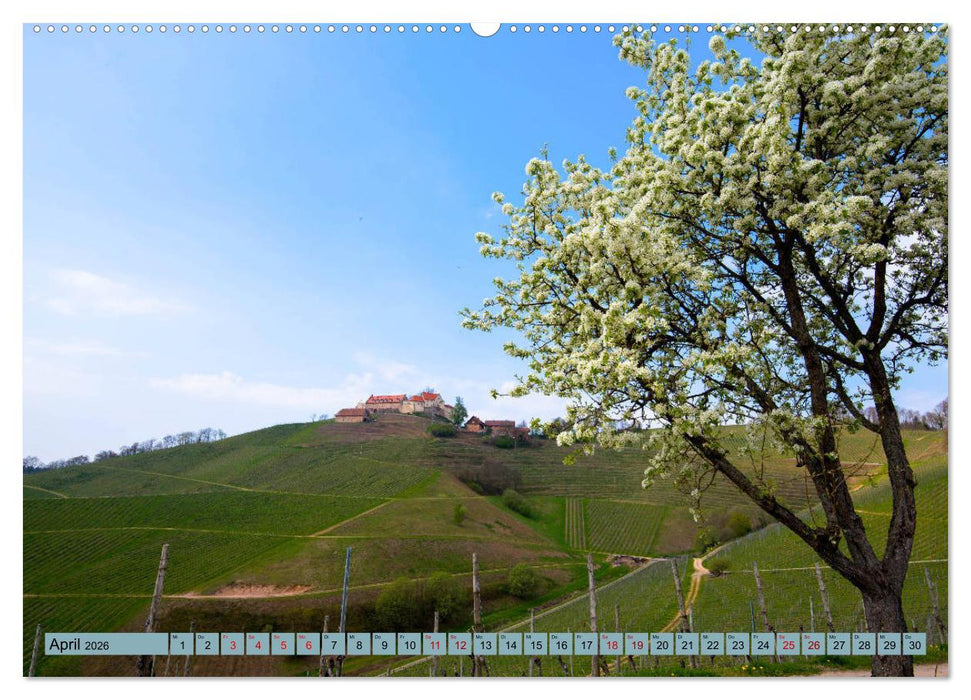 Zauberhafte Ortenau (CALVENDO Premium Wandkalender 2026)