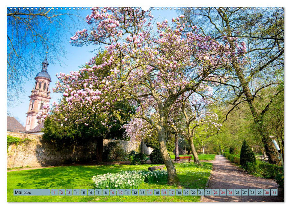 Zauberhafte Ortenau (CALVENDO Premium Wandkalender 2026)