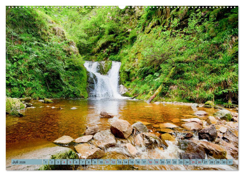 Zauberhafte Ortenau (CALVENDO Premium Wandkalender 2026)