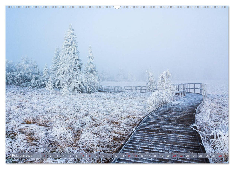 Wege zur Entspannung 2026 (CALVENDO Wandkalender 2026)
