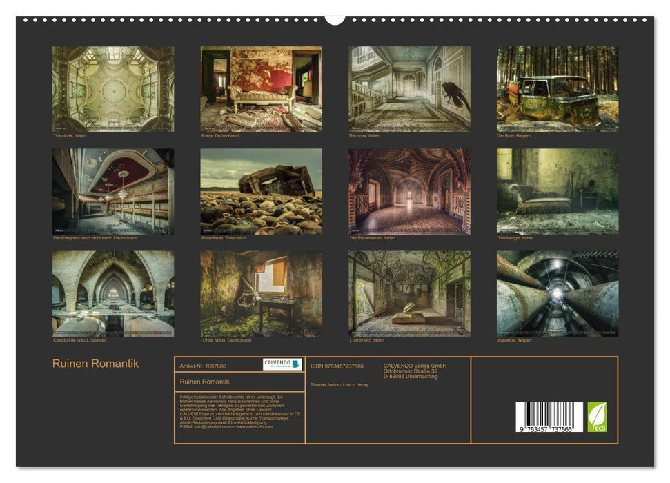 Ruinen Romantik (CALVENDO Premium Wandkalender 2026)