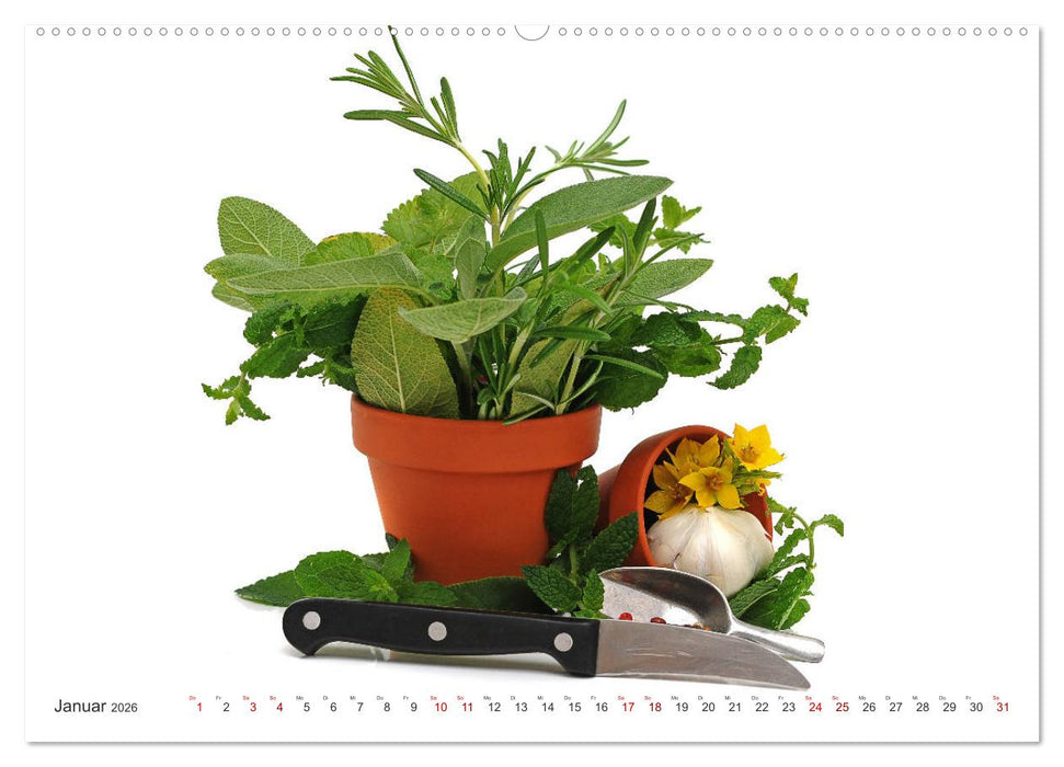 Gemüse, so gesund (CALVENDO Wandkalender 2026)