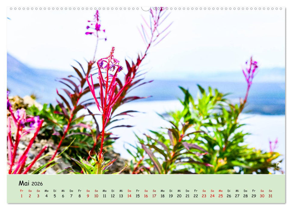 Entdecke den Yukon (CALVENDO Wandkalender 2026)