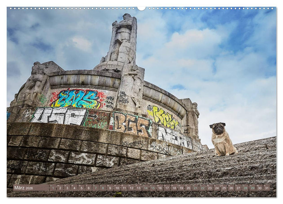 Hamburg - Stadt der Möpse (CALVENDO Premium Wandkalender 2026)