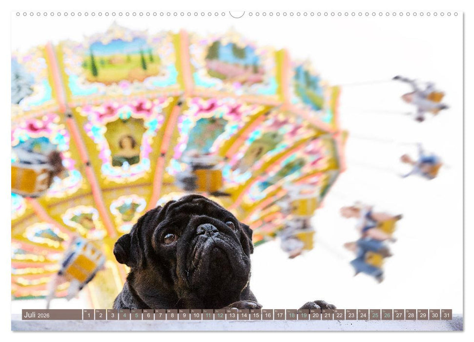 Hamburg - Stadt der Möpse (CALVENDO Premium Wandkalender 2026)