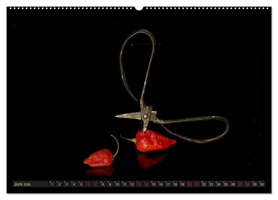 Scharfe Chili Fantasien - Creative Food Design (CALVENDO Premium Wandkalender 2026)
