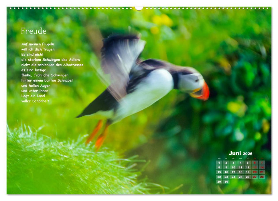 Lichtblicke für Auge und Seele - Der Kalender (CALVENDO Wandkalender 2026)