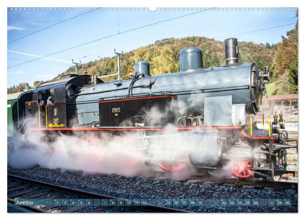 Dampfloks im südbadischen Raum (CALVENDO Premium Wandkalender 2026)