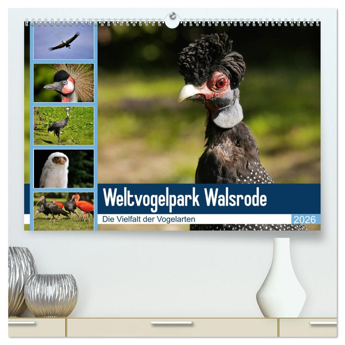 Weltvogelpark Walsrode - Die Vielfalt der Vogelarten (CALVENDO Premium Wandkalender 2026)
