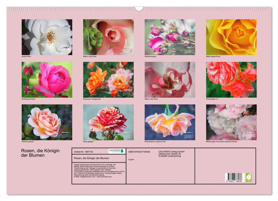 Rosen, die Königin der Blumen (CALVENDO Wandkalender 2026)
