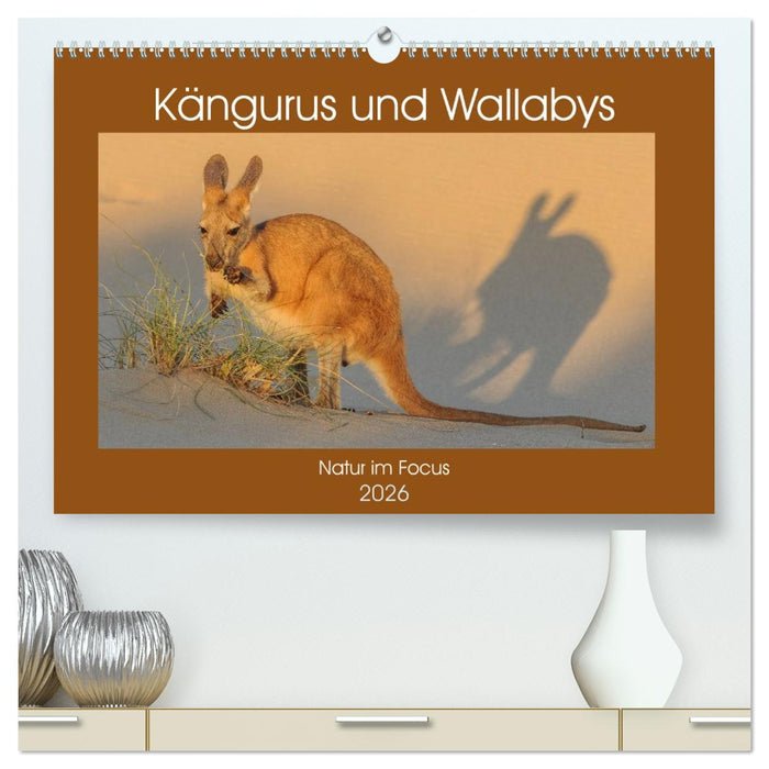 Kängururs und Wallabys (CALVENDO Premium Wandkalender 2026)