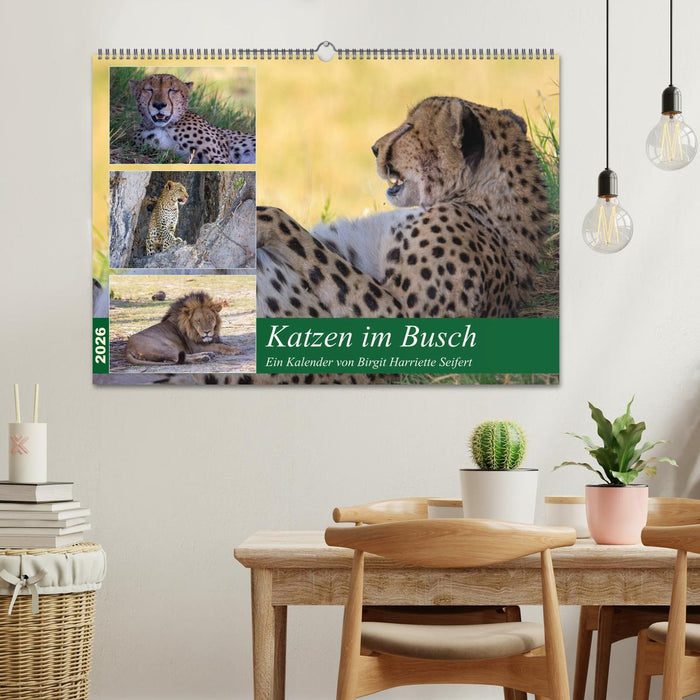 Katzen im Busch (CALVENDO Wandkalender 2026)