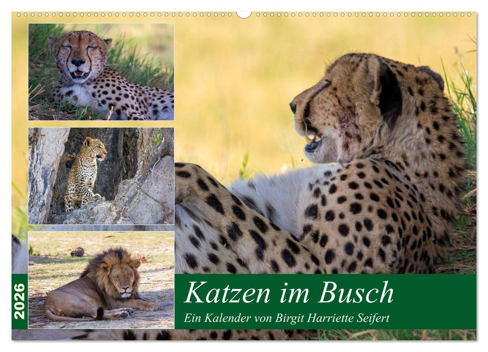Katzen im Busch (CALVENDO Wandkalender 2026)